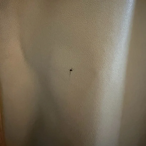 NWT DANA BUCHMAN Beige Taupe 100% Lambskin Classic Pencil Skirt Women’s Size 12 - Picture 3 of 16